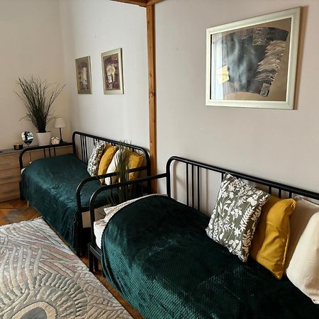 Central Apartment Next To The Elisabeth Bridge Budapest Bagian luar foto